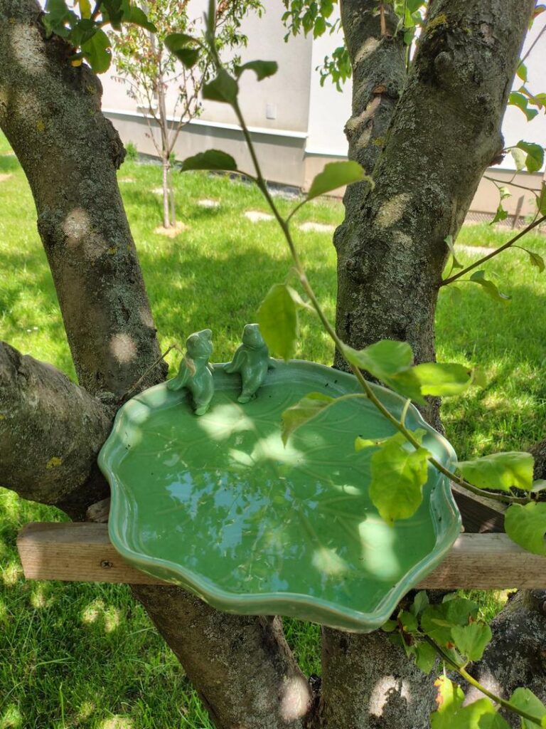 Apartmán B - Zahrada